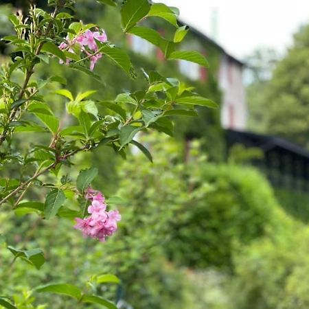 Les Grillons Du Morvan Montsauche-les-Settons Zewnętrze zdjęcie
