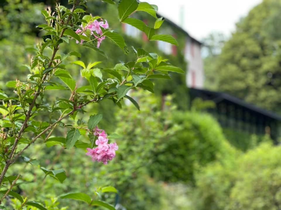 Les Grillons Du Morvan Montsauche-les-Settons Zewnętrze zdjęcie